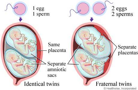 供卵代怀生男宝代生包成功